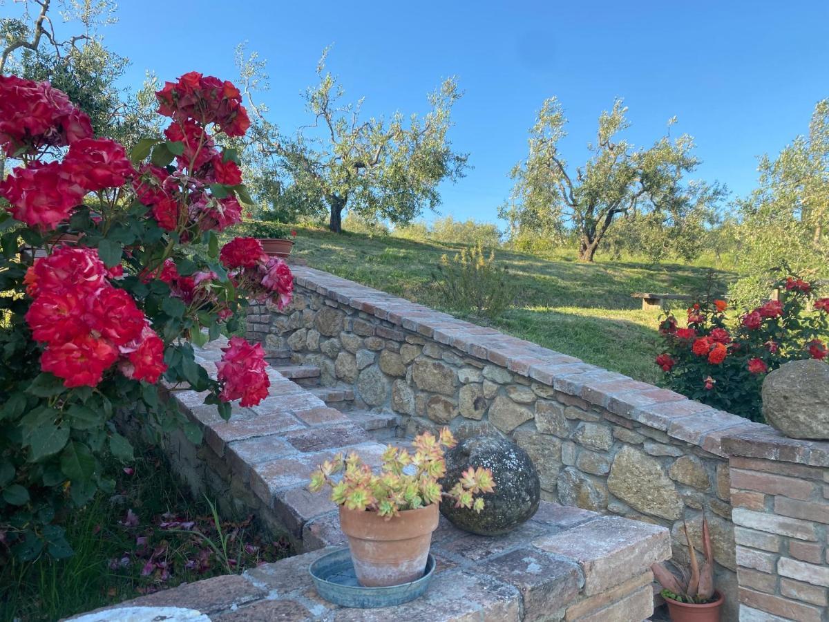 Agriturismo Casallario Volterra Extérieur photo