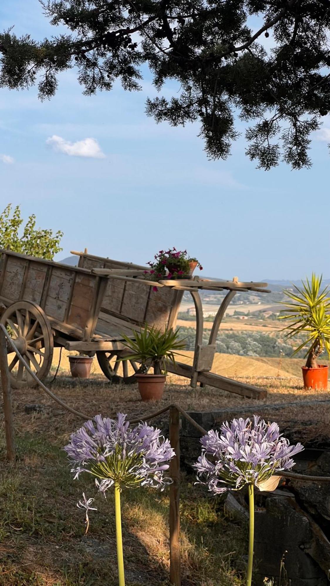 Agriturismo Casallario Volterra Extérieur photo